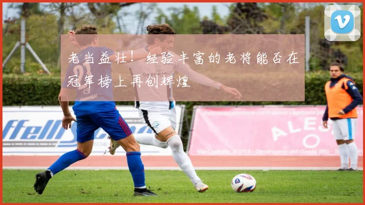 老当益壮！经验丰富的老将能否在冠军榜上再创辉煌