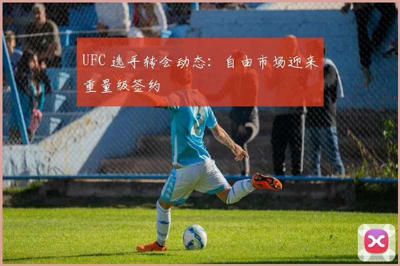 UFC 选手转会动态：自由市场迎来重量级签约
